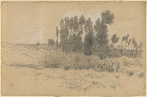 Reed Landscape with Poplars