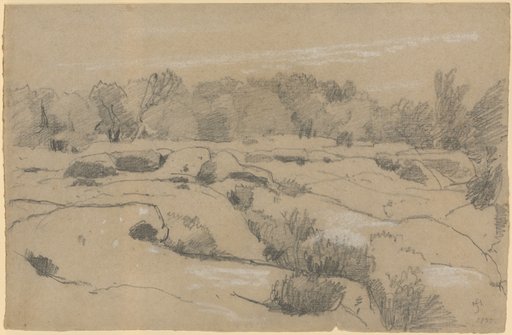 Hilly Reed Landscape Fringed by a Wood