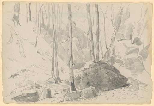 Valley with Boulders