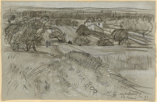 Mohrhalde