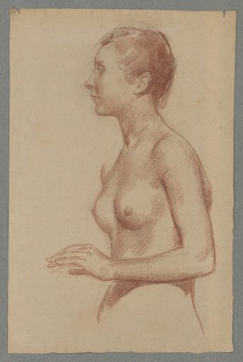 Female Half-Length Nude