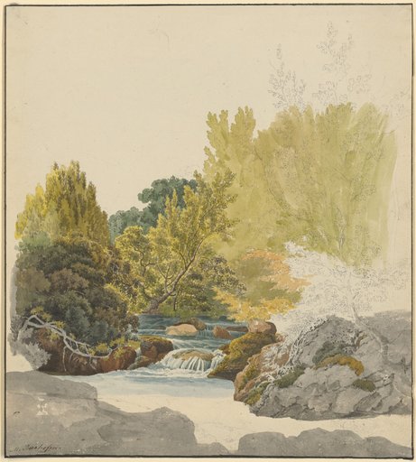 Stream Between Wooded Banks and Moss-Covered Stones