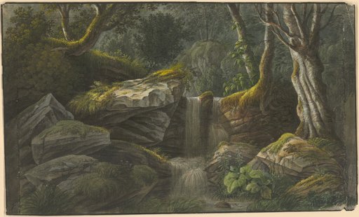 Waterfall in a Mountain Forest