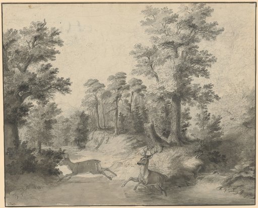 Clearing in a Deciduous Forest