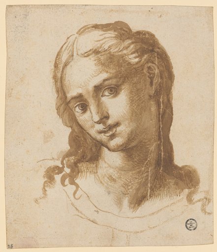 Head of a Young Woman