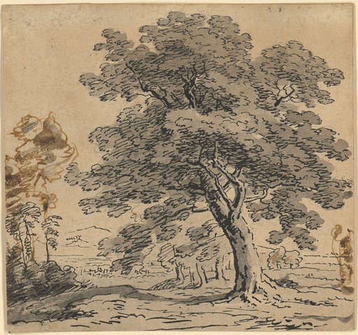 Tree Landscape with Distant View of Mountains