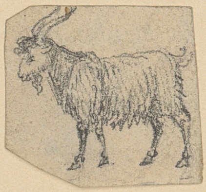 Sheep on the Pasture