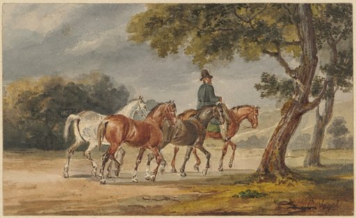 Rider with Three Unsaddled Horses
