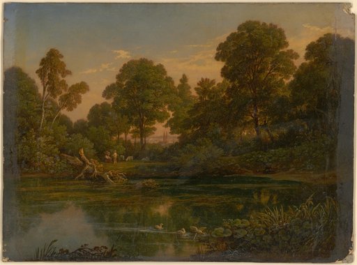 Forest pond with a view of the Münster