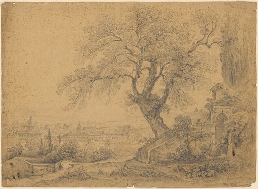 Tasso Oak near S. Onofrio in Rome
