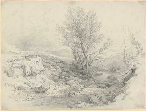 Stream valley with a group of willows on the left bank and deep rain clouds on the left horizon