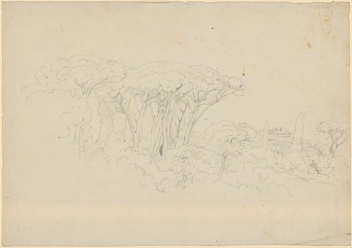 Pine Grove and View to the Right on a Lower Villa