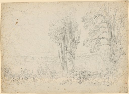 View through cypresses on the slope to a place on the seashore