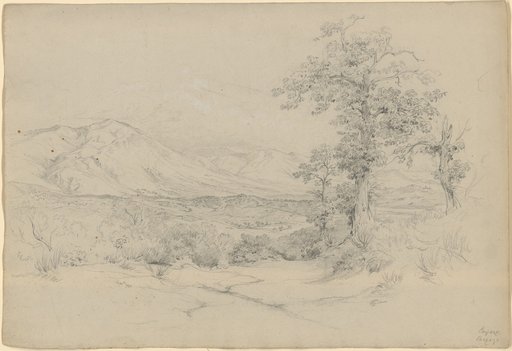 Wide mountain valley. In the foreground to the right a group of trees