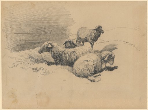 Four Sheep on the Pasture