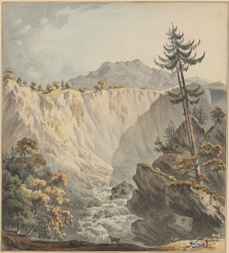 Mountain Stream with a Steep Gradient