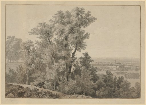 Wooded Slope in Front of a Valley Landscape