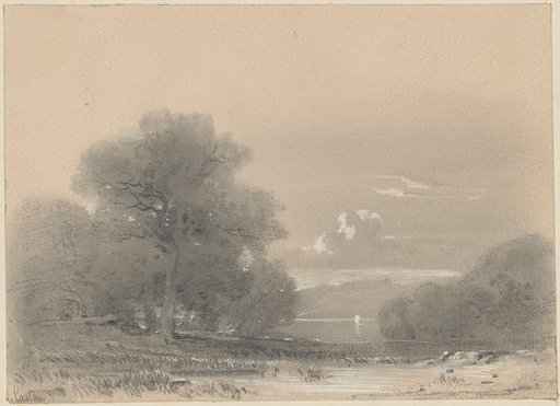 Seascapes