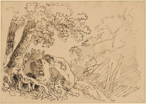 Landscape Study