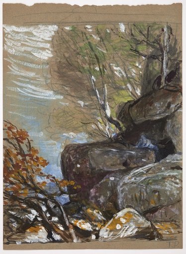 Autumnal Beech Trunks Among Rocks with a Blue Shadow Nymph
