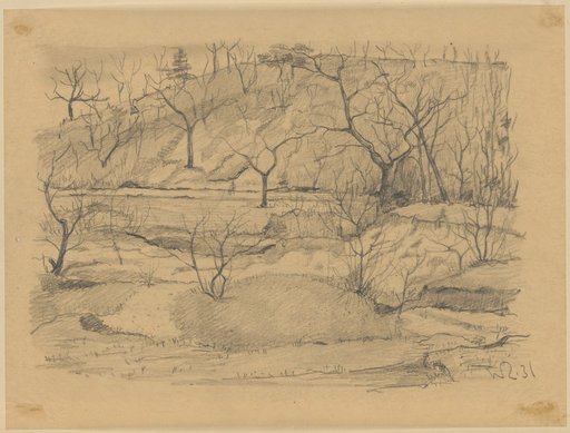 Winter Landscape with Leafless Trees