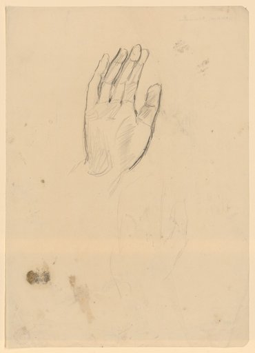 Inner Surface of a Right Hand and Light Outline Sketch After the Same
