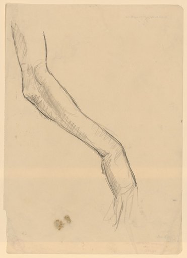 Arm Study