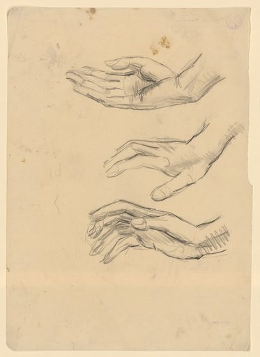 Three Studies of a Right Hand