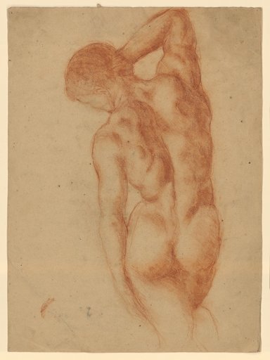 Male Back Nude with Right Hand at the Back of the Head