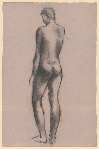 Standing male nude, back view