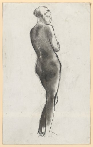 Female nude from the back, looking over the right shoulder
