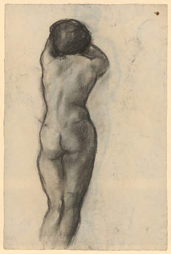 Standing female nude from the back
