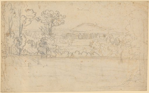 Landscape from the Rhine Plain. In the foreground fields and meadows bordered by shrubs and trees; in the middle ground a long row of poplars, concluding with mountains