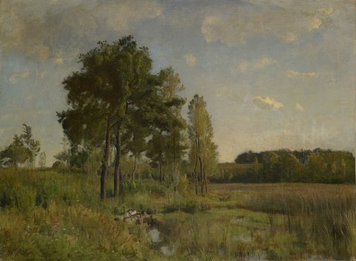 Marsh