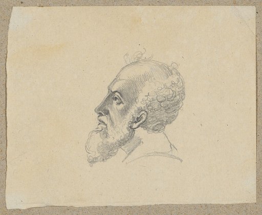 Bearded Head in Profile Facing Left