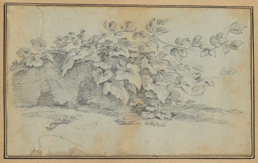 Earth Border with Coltsfoot Leaves