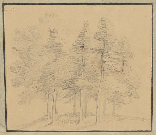 Group of Trees
