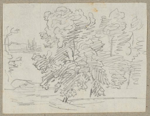 Trees in a Flat Landscape