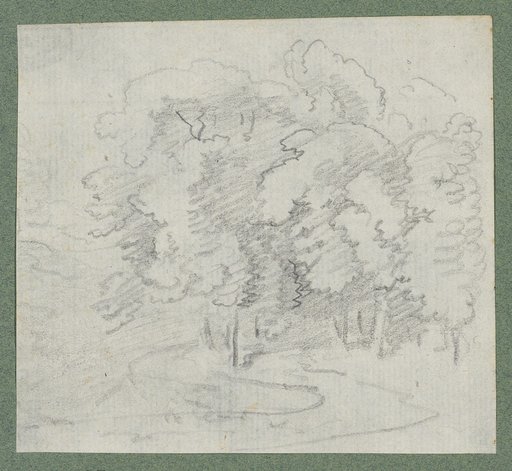 Group of trees at a bend in the path