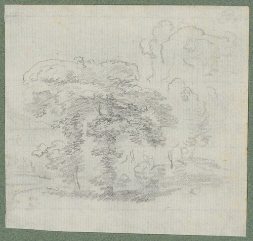 Row of trees