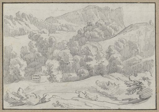 Mountain forest with a farmhouse