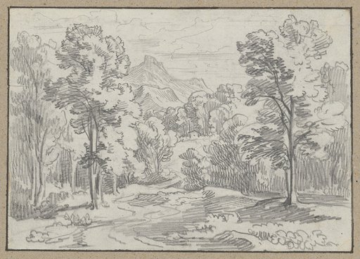 Wooded mountain region
