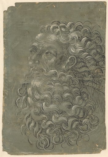 Head of a Bearded Man to the Left