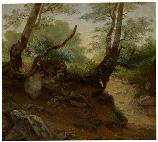 Corner of a Forest