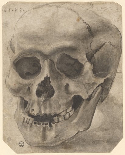 Skull