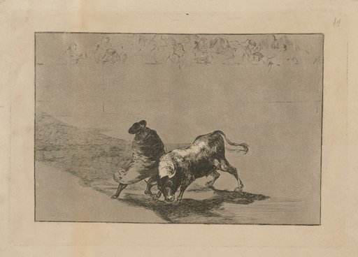 The extremely skillful student of falces, hooded, mocks the bull with his turns
