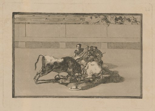 Fall of a picador from his horse beneath the bull