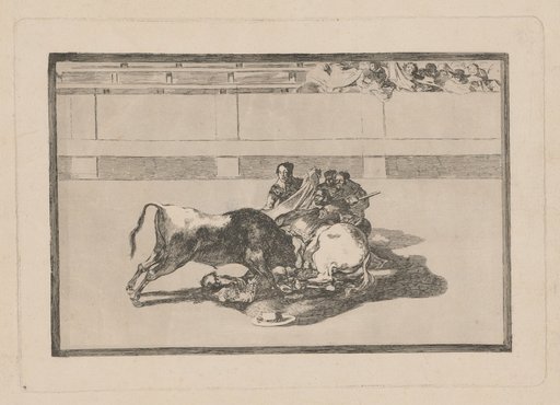 Fall of a picador from his horse beneath the bull