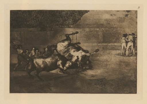 Horse overturned by a bull