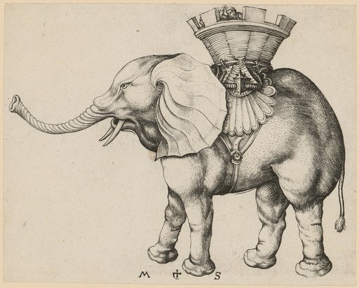 Elephant
